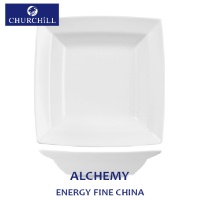Click for a bigger picture.10" Energy Sq Pasta Bowl